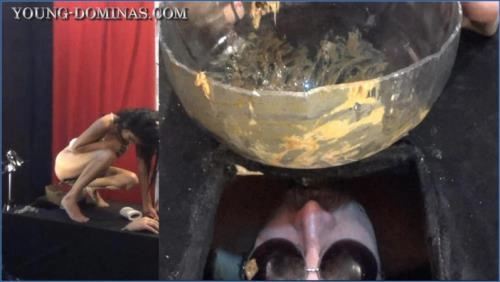 Stupid Slaves Domination: Farting, Vomit, and Dirty Talk in Spanish - Scat Download