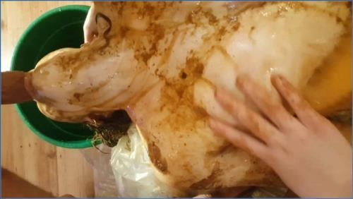 Astra Celestial's Stinking Enema and Shit Eating Spree in Nothing - Scat Download