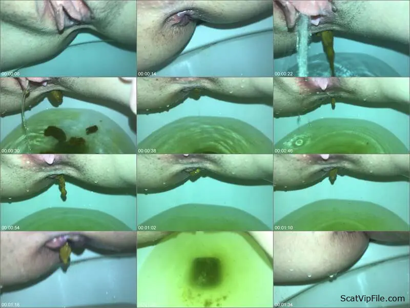 Missellie's Extreme Vomit and Shit Tasting Ritual - Toilet Slave screenshot