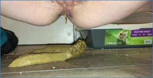 Smear into my pussy Toilet Slave Video - Missellie - Scat Download
