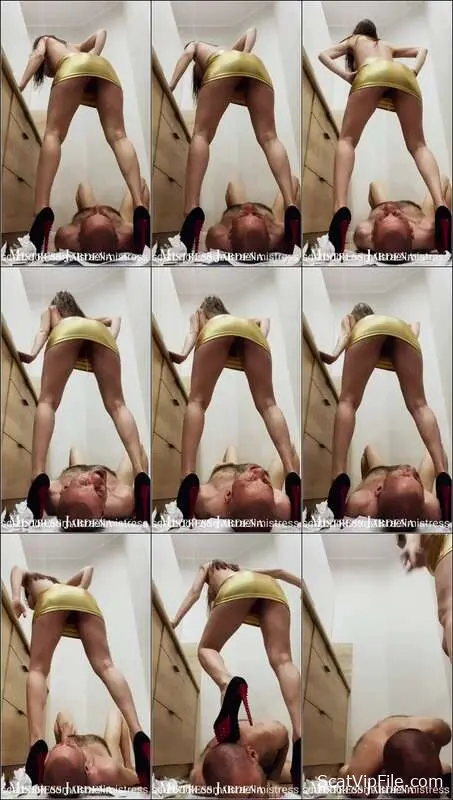 Mistress Jardena Uses Filthy Bitch's Mouth for Hardcore Scat Porn screenshot