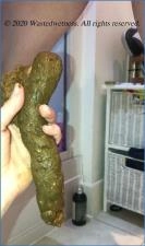 Wastedwetness- Wife's Huge Surprise Shit: Hardcore Scat and Fetish - Scat Download