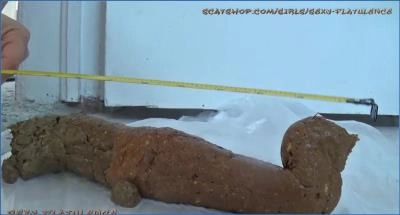 SexyFlatulence Shitting Monster Log in FullHD Scat Porn Video - Scat Download
