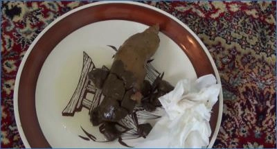 Tegan Delivers Hardcore Poop and Pee Action in Poop on a Plate - Scat Download