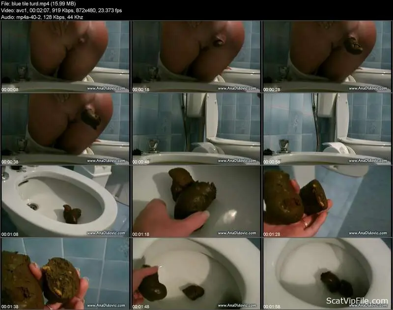 Ana Didovic’s Dirty Anal Pooping romp screenshot