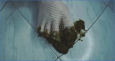SweetBettyParlour Poop Porn Video With Dirty Feet FullHD 💩 - Scat Download