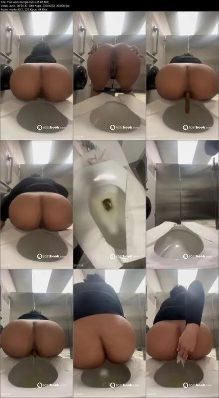 Scat Porn: BrownSensation8 Anal Shit and Pissing in Two Work Dumps screenshot