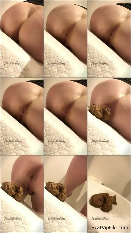 Wastedwetness- filthy Scat Play with Intimate Lesbian Sessions and Shitting screenshot