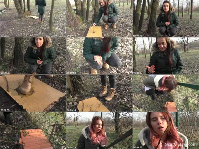 Sarah and Angie Scat Porn Video with Toilet Fetish screenshot