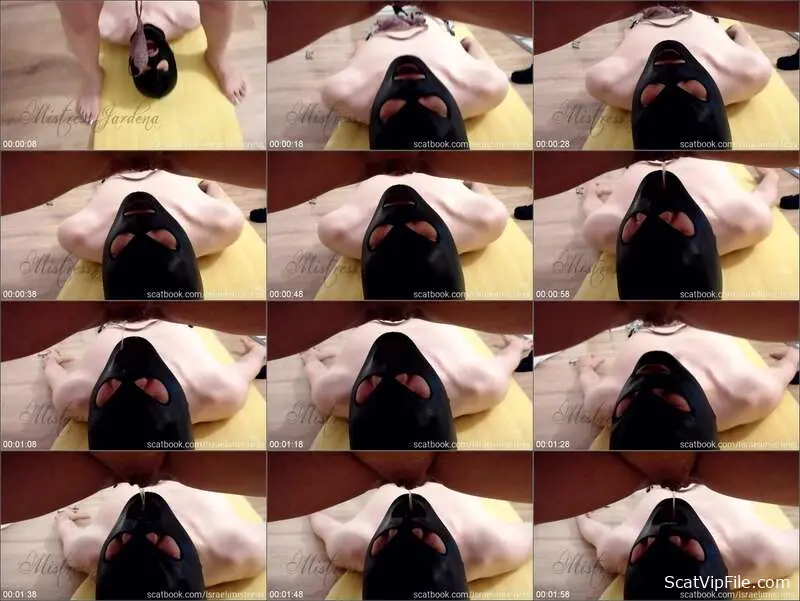 Mistress Jardena Unleashes Extreme Piss and Defecation in His Only Task screenshot