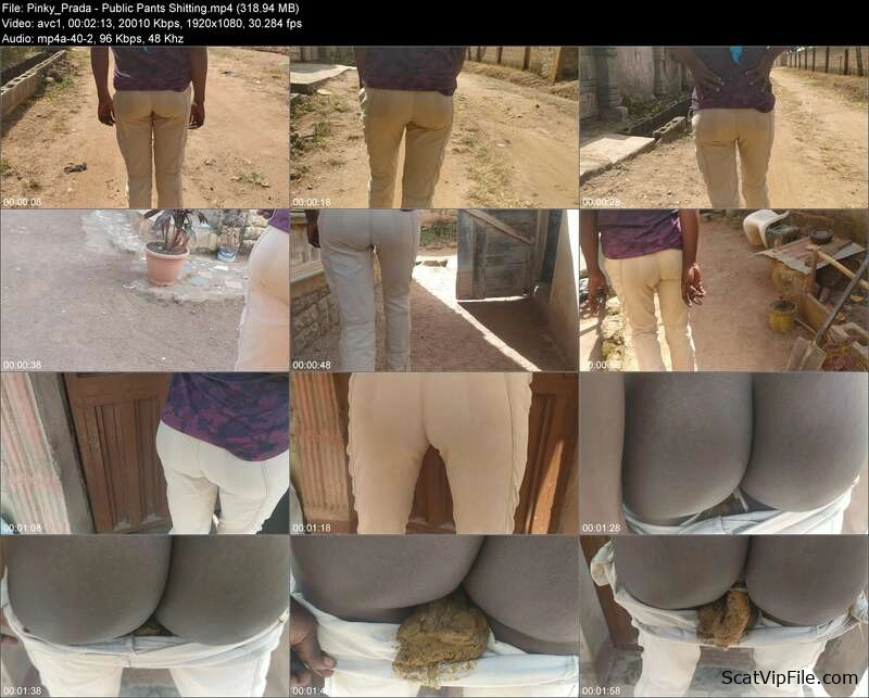 Pinky Prada Delivers Hardcore Piss Scat and Copro in Public Pants Shitting screenshot