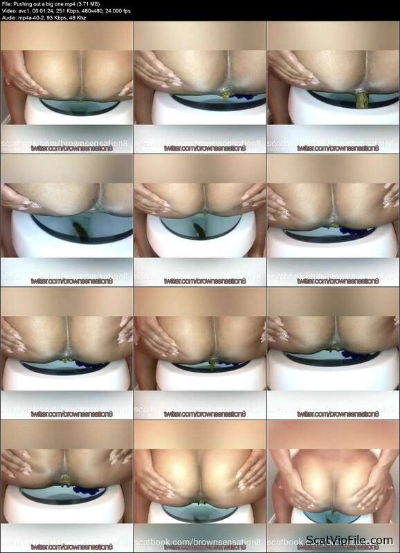 BrownSensation8 Pushes Out a Big One in Extreme Scat and Anal screenshot
