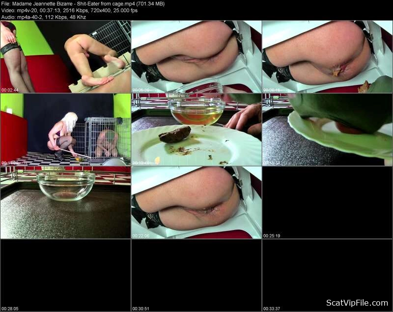 Lady Melissa in Hardcore Femdom Shitting- Madame Jeannette Bizarre screenshot