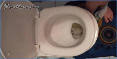 PooAlina Toilet Shit Eating Clip with Piss Drinking and Smearing - Scat Download