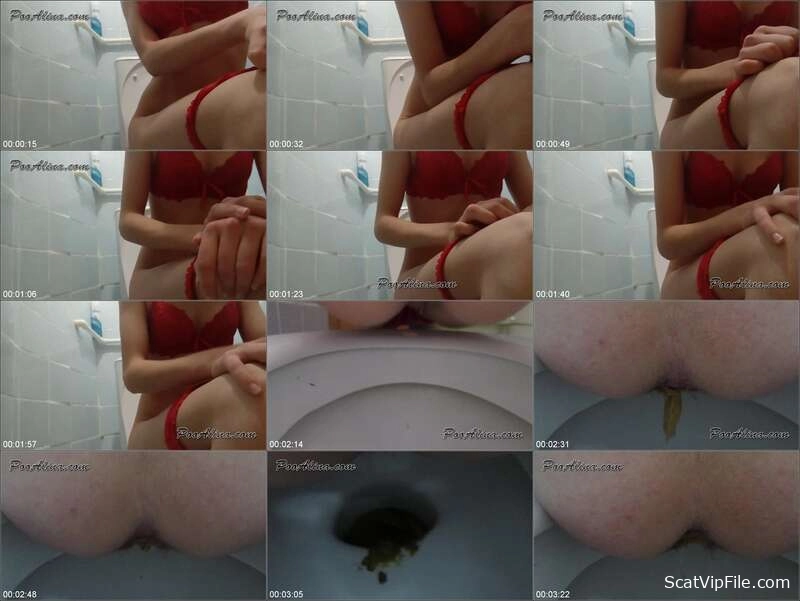 Scat Porn Featuring PooAlina Shitting and Peeing on Toilet screenshot